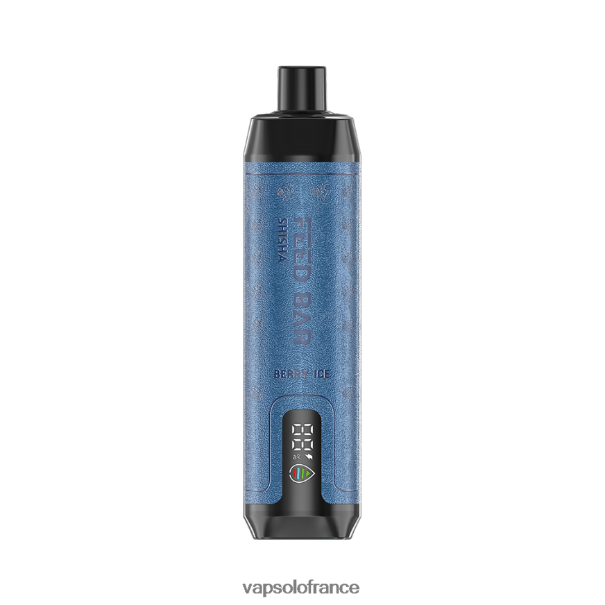 VapSolo SHISHA vape jetable | Puff Vapsolo N8Z8041 glace aux baies