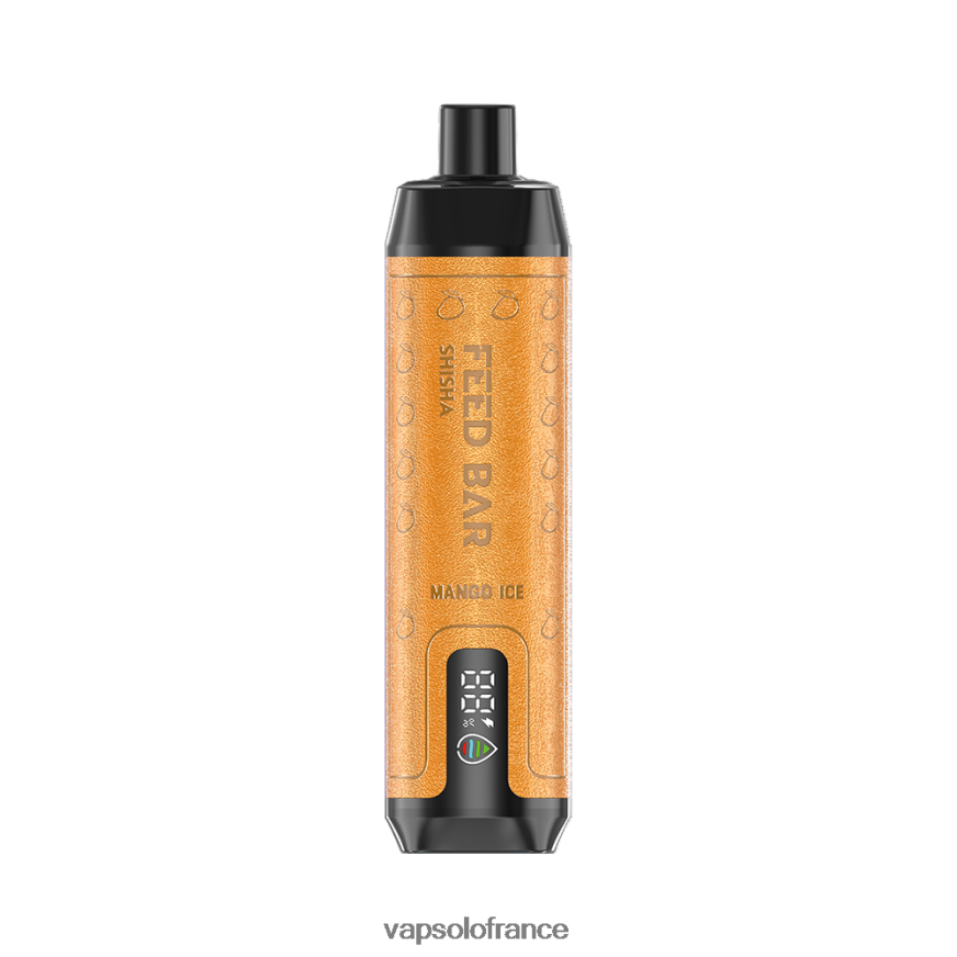 VapSolo SHISHA vape jetable | Puff Vapsolo N8Z8049 glace à la mangue