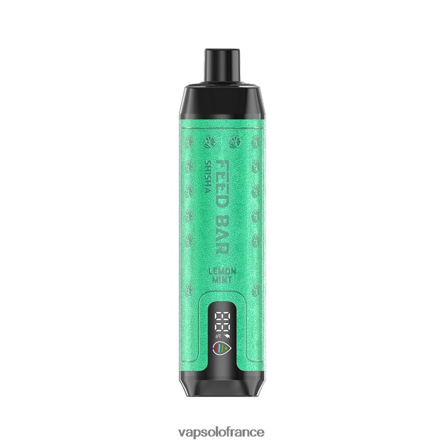 VapSolo SHISHA vape jetable | Vapsolo Avis N8Z8047 menthe citronnée