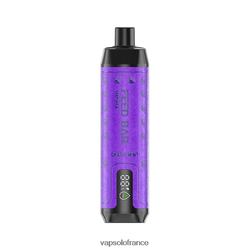 VapSolo SHISHA vape jetable | Vapsolo France N8Z8046 menthe raisin
