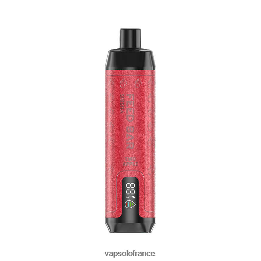 VapSolo SHISHA vape jetable | Vapsolo Prix N8Z80412 deux pommes