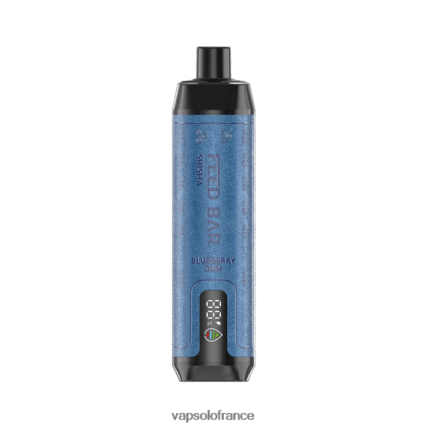 VapSolo SHISHA vape jetable | Vapsolo Prix N8Z8044 gomme de myrtille