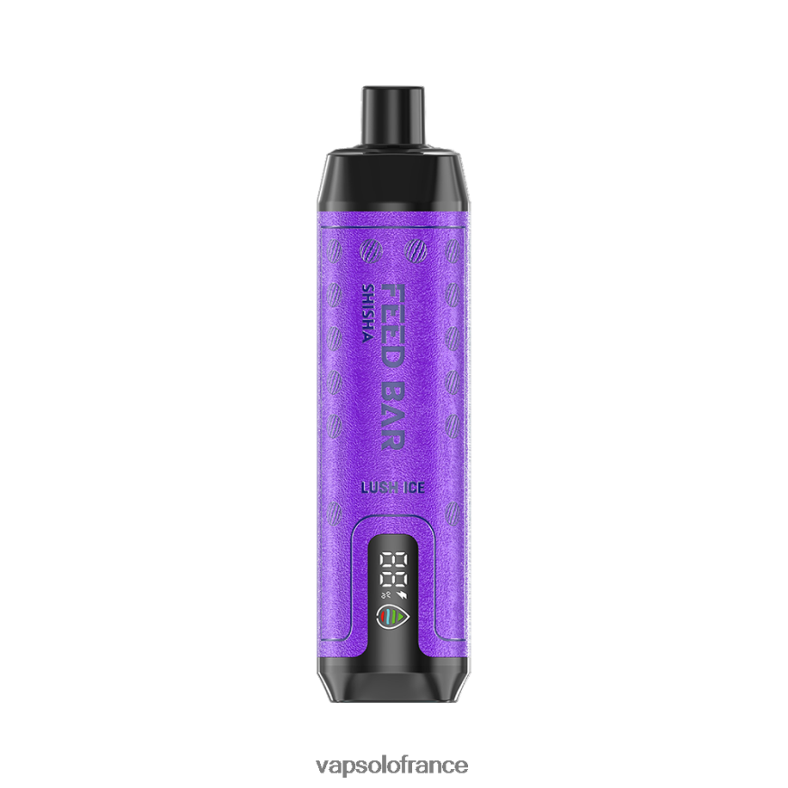 VapSolo SHISHA vape jetable | Vapsolo Prix N8Z8048 glace luxuriante