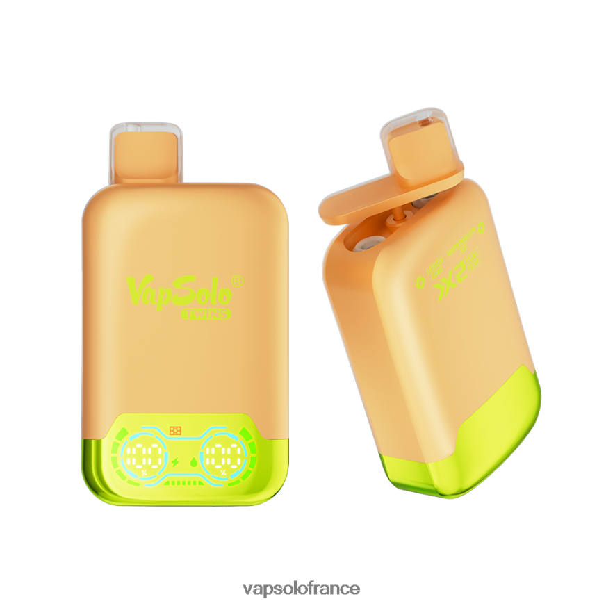 VapSolo TWINS vape jetable | Puff Vapsolo N8Z80429 glace citron vert & pastèque
