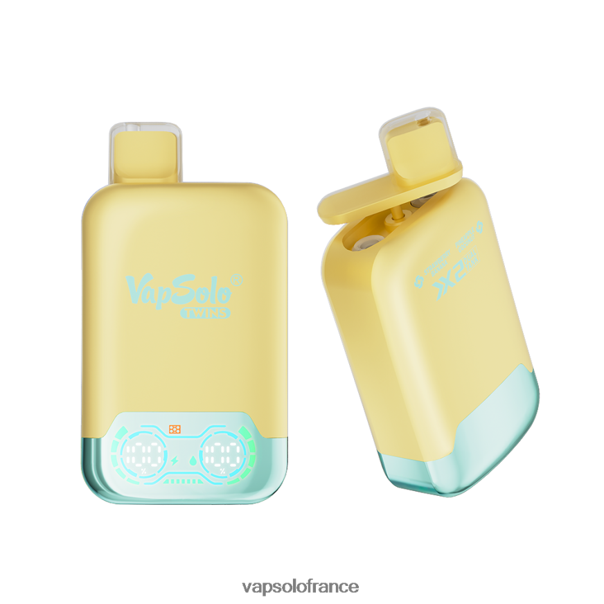 VapSolo TWINS vape jetable | Vapsolo Avis N8Z80431 ananas noix de coco & fraise banane