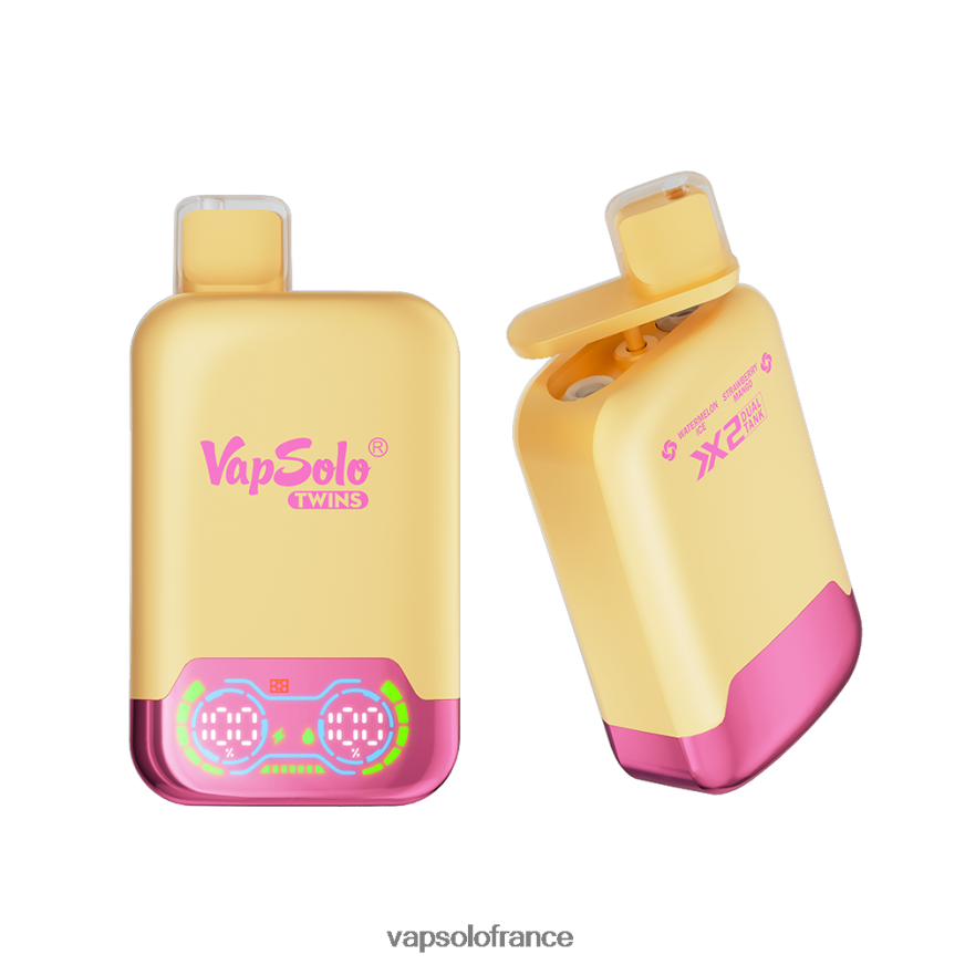 glace pastèque & fraise mangue