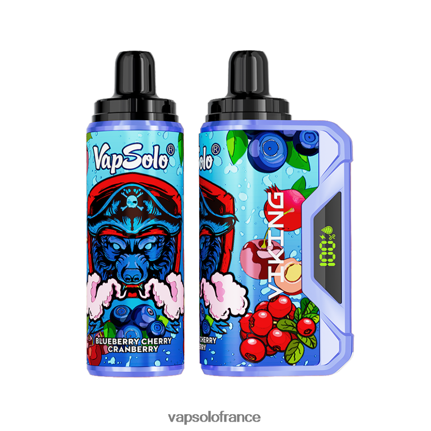 VapSolo VIKING vape jetable | Puff Vapsolo N8Z80437 myrtille cerise canneberge