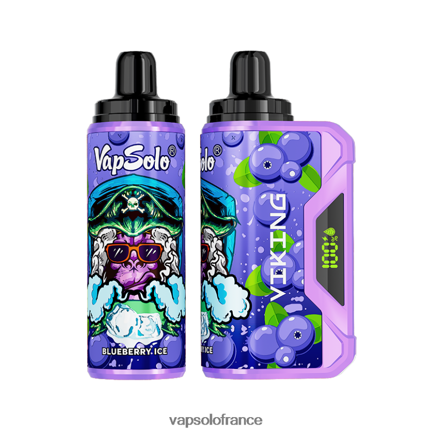 VapSolo VIKING vape jetable | Vapsolo Prix N8Z80436 myrtille